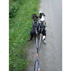 Freemotion Dragsele STORLEK #3 - NACKOMKRETS: 28-33 CM