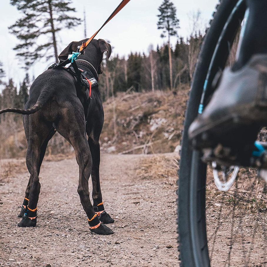 Protector Hundsko Gummerad 4-pack SVART / M
