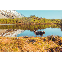 Amundsen pack, Klövjeväska Hund S