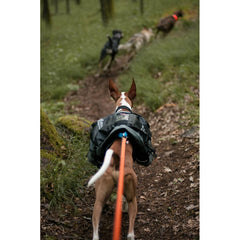 Amundsen pack, Klövjeväska Hund XS