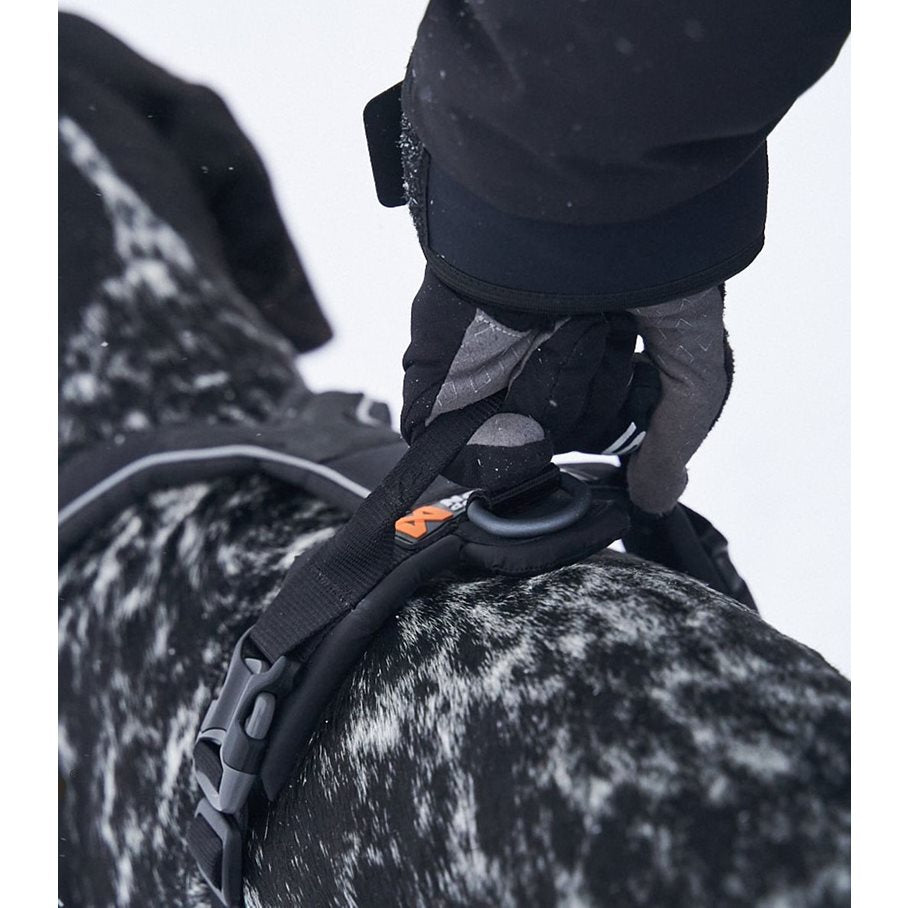 Line Sele Grip till Hund SVART / STL 2