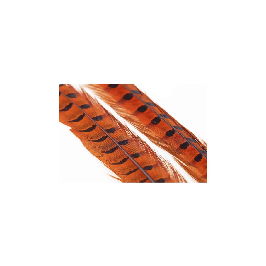 Ringneck Pheasant Tail 1 Pair ORANGE / EN STL