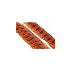 Ringneck Pheasant Tail 1 Pair ORANGE / EN STL