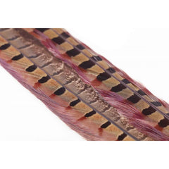 Ringneck Pheasant Tail 1 Pair RUSTY BROWN / EN STL