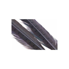 Ringneck Pheasant Tail 1 Pair DUN / EN STL