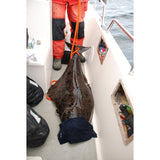 Catch & Release vid upptagning av fisk nr 12 ORANGE / 3 M