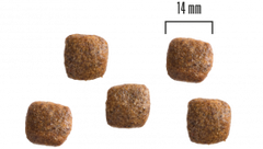 Dog Adult All Breed Grainfree Lax och Potatis 1,5kg eller 10 kg SMAK LAX OCH POTATIS & MÄNGD 1,5 KG