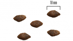 Dog Adult All Breed Grainfree Lax och Potatis 1,5kg eller 10 kg SMAK FR. HJORT OCH KALKON & MÄNGD 1,5 KG