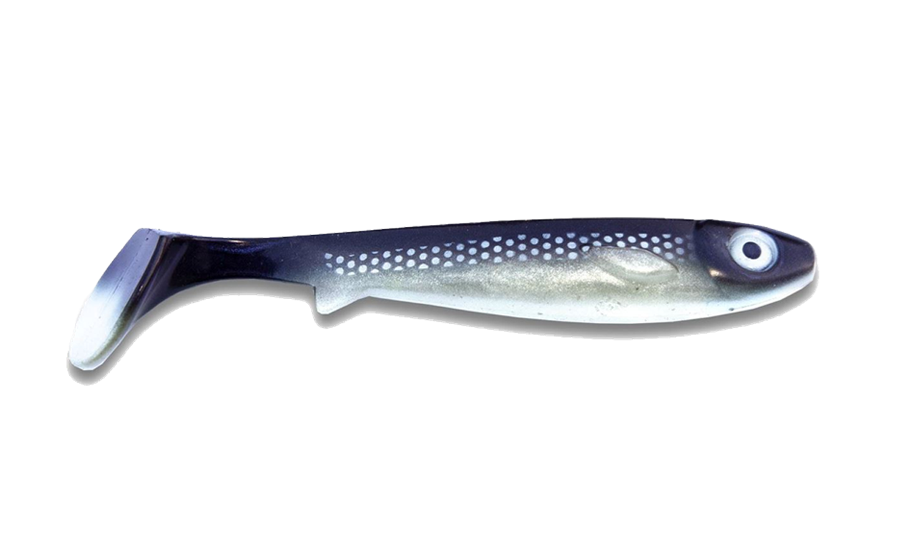 Flatnose Shad 19cm, 50gr COREGONUS / 19 CM / 50 GRAM