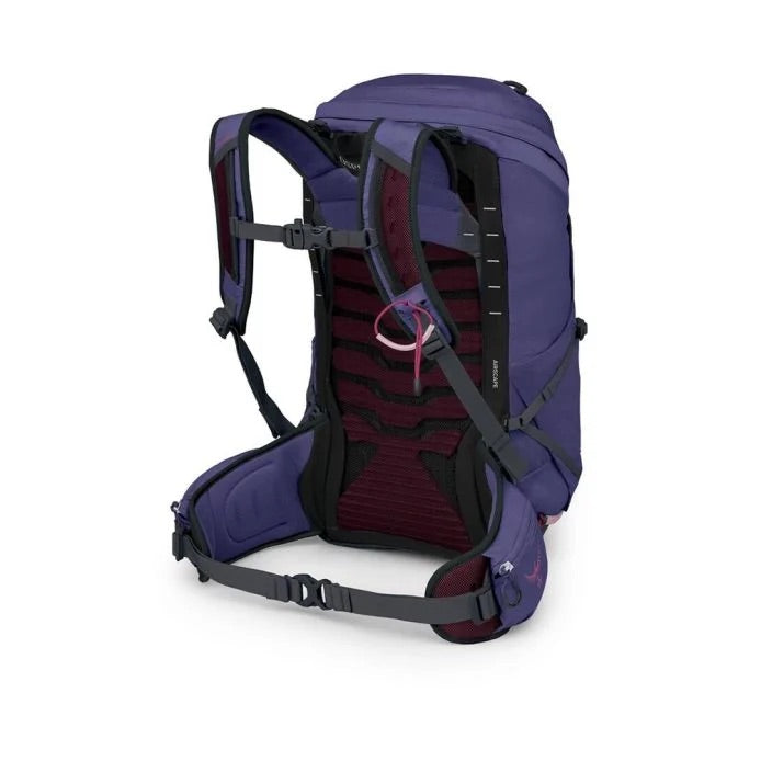 Tempest 26 DEEP FIG/HOTSPOT PINK / ONE SIZE