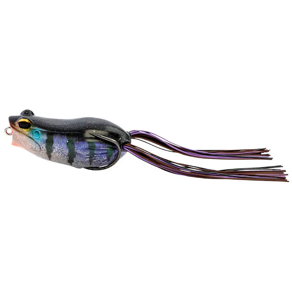 Hop Popper Frog