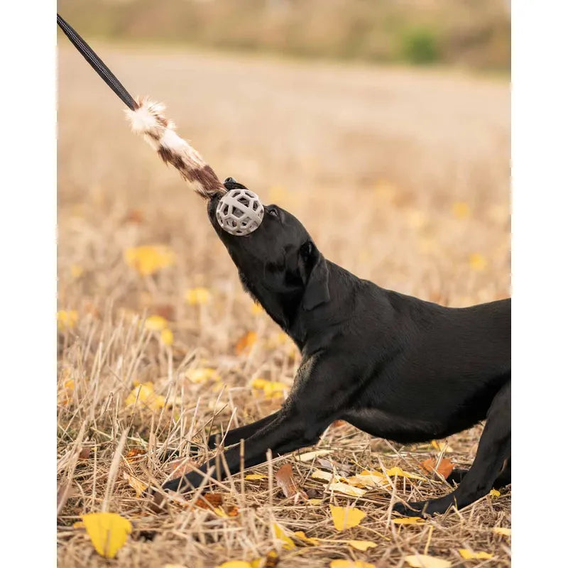 Play-n-tug hundleksak