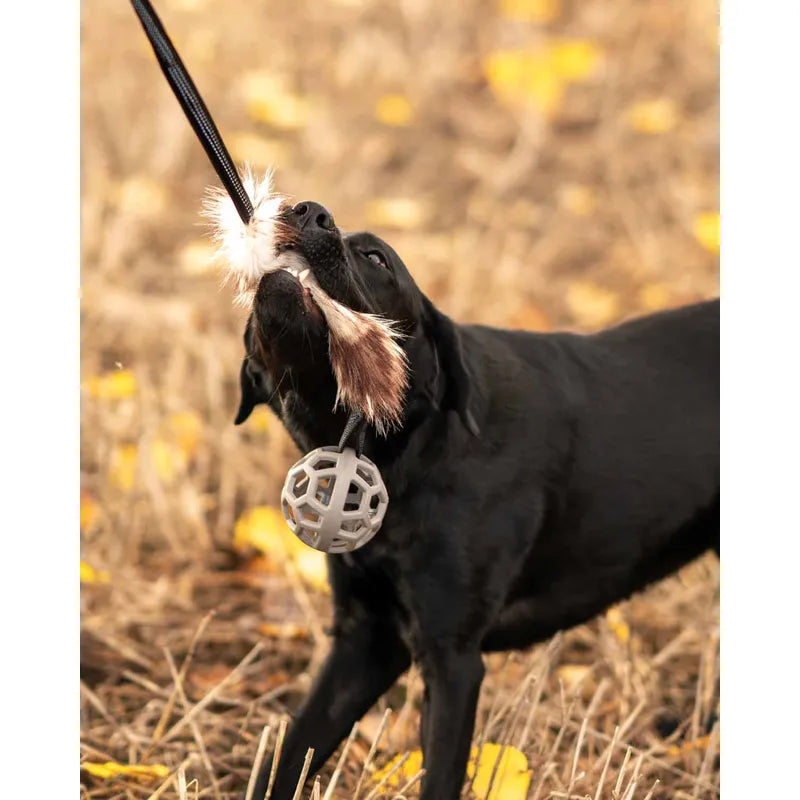 Play-n-tug hundleksak