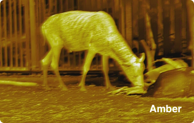 Ranger 640x512, 50 mm Värmekamera