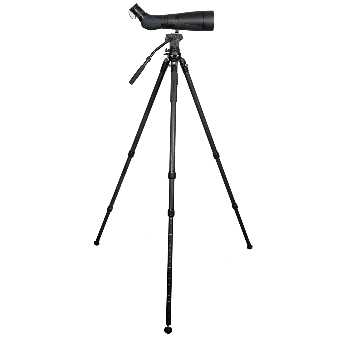 Zeiss Victory Harpia 30-70x95 Tubkikarpaket